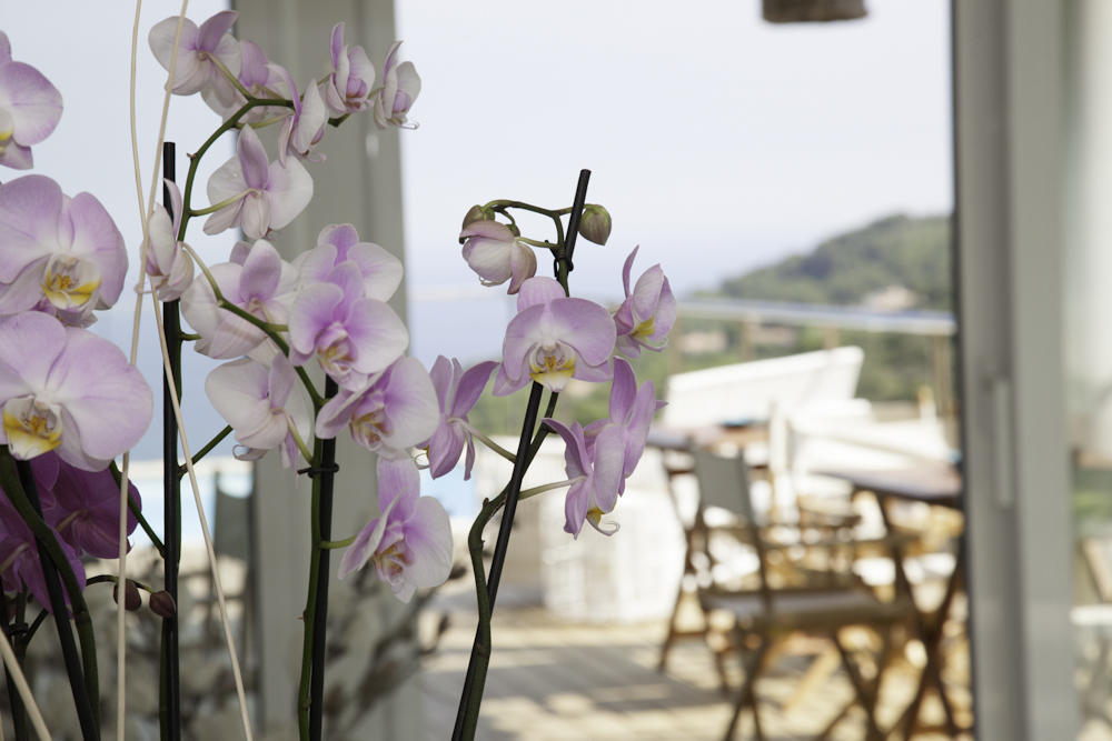 Es Cel De Begur Hotel Bilik gambar